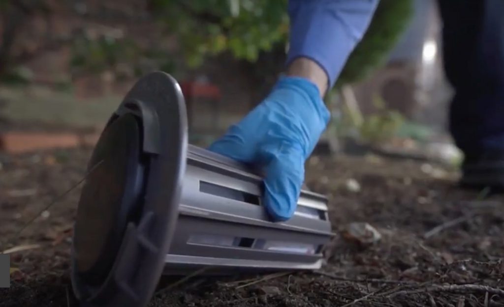 termite-bait-control-treatment